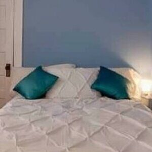 Sferra Turquoise/Aqua Silk Throw Pillow Covers 18x18 Set of 2  - NWOT